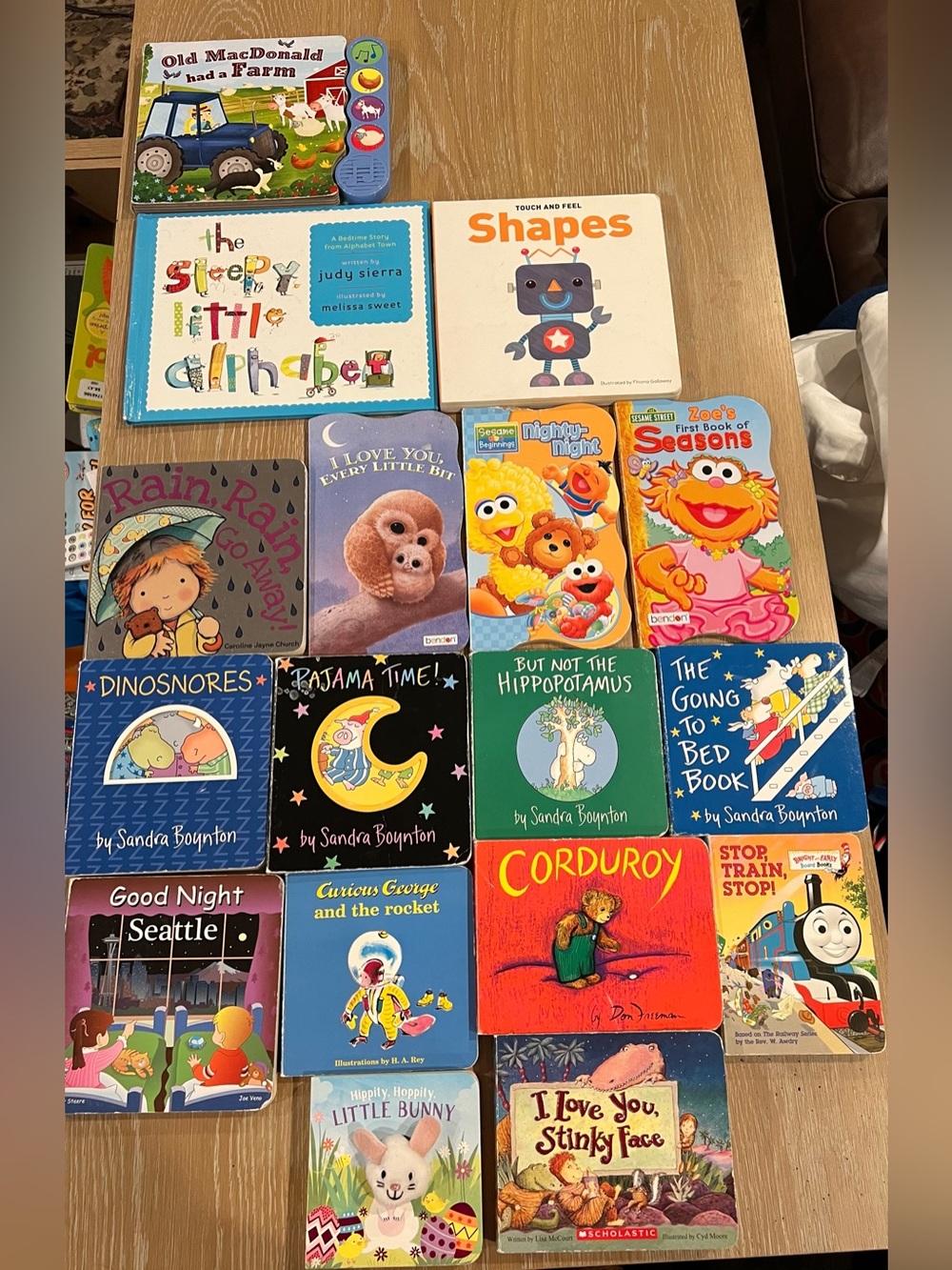 Lot of 17 toddler books w/Sandra Boynton Board Books and others daycare preschoo